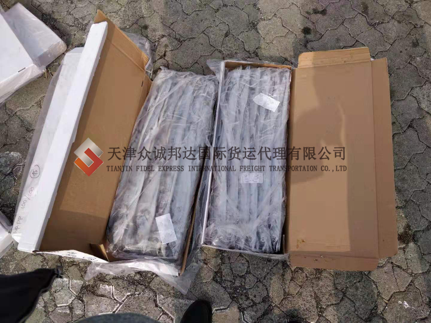 1带鱼.jpg